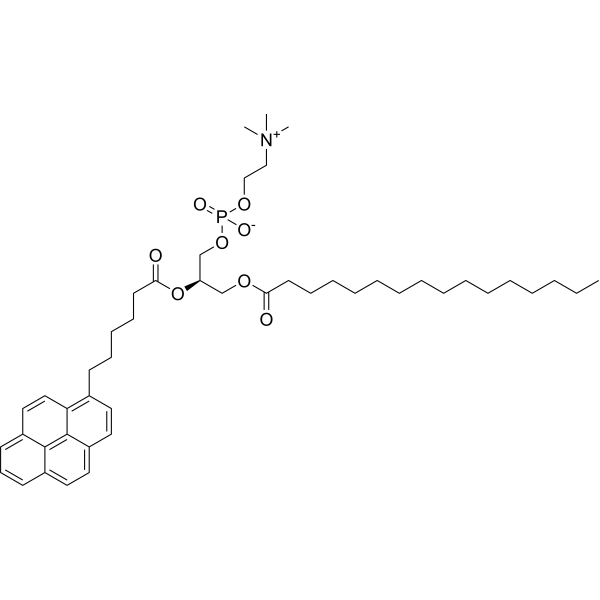 L-α-Phosphatidylcholine β-(pyren-1-yl)hexanoyl-γ-palmitoyl 103625-33-8
